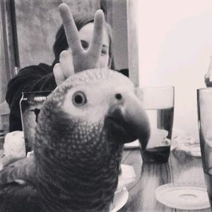 Meet your Posher, Carly